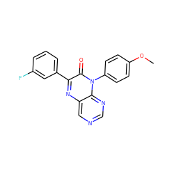 COc1ccc(-n2c(=O)c(-c3cccc(F)c3)nc3cncnc32)cc1 ZINC000004238654