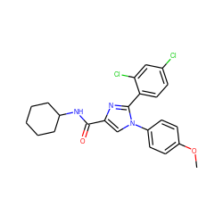 COc1ccc(-n2cc(C(=O)NC3CCCCC3)nc2-c2ccc(Cl)cc2Cl)cc1 ZINC000028702449