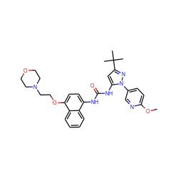 COc1ccc(-n2nc(C(C)(C)C)cc2NC(=O)Nc2ccc(OCCN3CCOCC3)c3ccccc23)cn1 ZINC000027524625