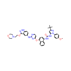 COc1ccc(-n2nc(C(C)(C)C)cc2NC(=O)Nc2ccc(Oc3ccnc(Nc4ccc5[nH]nc(OCCN6CCOCC6)c5c4)n3)c3ccccc23)cc1 ZINC000211042288