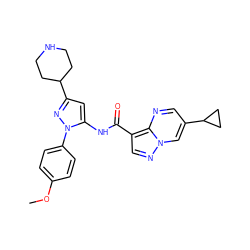 COc1ccc(-n2nc(C3CCNCC3)cc2NC(=O)c2cnn3cc(C4CC4)cnc23)cc1 ZINC000145840547