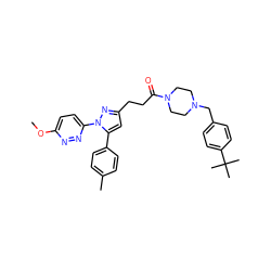 COc1ccc(-n2nc(CCC(=O)N3CCN(Cc4ccc(C(C)(C)C)cc4)CC3)cc2-c2ccc(C)cc2)nn1 ZINC000072121465