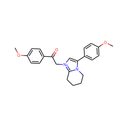 COc1ccc(C(=O)C[n+]2cc(-c3ccc(OC)cc3)n3c2CCCC3)cc1 ZINC000013685900