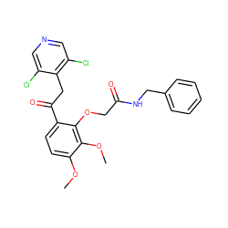 COc1ccc(C(=O)Cc2c(Cl)cncc2Cl)c(OCC(=O)NCc2ccccc2)c1OC ZINC000114779208