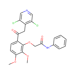 COc1ccc(C(=O)Cc2c(Cl)cncc2Cl)c(OCC(=O)Nc2ccccc2)c1OC ZINC000114778193