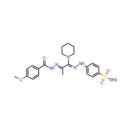 COc1ccc(C(=O)N/N=C(C)/C(=N/Nc2ccc(S(N)(=O)=O)cc2)N2CCCCC2)cc1 ZINC000103230481