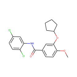 COc1ccc(C(=O)Nc2cc(Cl)ccc2Cl)cc1OC1CCCC1 ZINC000013736955