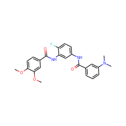 COc1ccc(C(=O)Nc2cc(NC(=O)c3cccc(N(C)C)c3)ccc2F)cc1OC ZINC000028392378