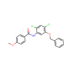 COc1ccc(C(=O)Nc2cc(OCc3ccccc3)c(Cl)cc2Cl)cc1 ZINC000001392306