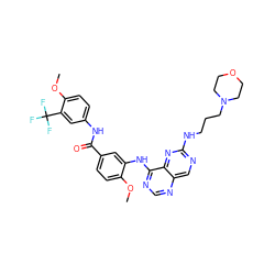 COc1ccc(C(=O)Nc2ccc(OC)c(C(F)(F)F)c2)cc1Nc1ncnc2cnc(NCCCN3CCOCC3)nc12 ZINC000148070063