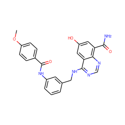 COc1ccc(C(=O)Nc2cccc(CNc3ncnc4c(C(N)=O)cc(O)cc34)c2)cc1 ZINC000114348018