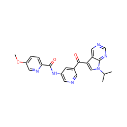 COc1ccc(C(=O)Nc2cncc(C(=O)c3cn(C(C)C)c4ncncc34)c2)nc1 ZINC000169707951