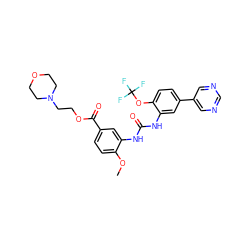 COc1ccc(C(=O)OCCN2CCOCC2)cc1NC(=O)Nc1cc(-c2cncnc2)ccc1OC(F)(F)F ZINC000473144211