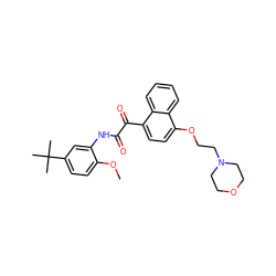 COc1ccc(C(C)(C)C)cc1NC(=O)C(=O)c1ccc(OCCN2CCOCC2)c2ccccc12 ZINC000058506593