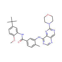 COc1ccc(C(C)(C)C)cc1NC(=O)c1ccc(C)c(Nc2ncnc3cnc(N4CCOCC4)nc23)c1 ZINC000148239088