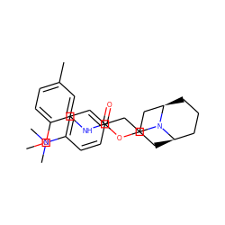 COc1ccc(C)cc1NC(=O)OC1C[C@@H]2CCC[C@H](C1)N2CCc1ccc(N(C)C)cc1 ZINC000040933694