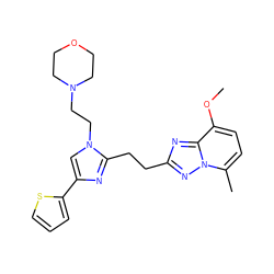 COc1ccc(C)n2nc(CCc3nc(-c4cccs4)cn3CCN3CCOCC3)nc12 ZINC000072315145