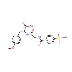 COc1ccc(C[C@@H](NC(=O)CNC(=O)c2ccc(S(N)(=O)=O)cc2)C(=O)O)cc1 ZINC000027646495