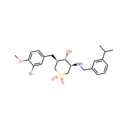 COc1ccc(C[C@@H]2CS(=O)(=O)C[C@H](NCc3cccc(C(C)C)c3)[C@H]2O)cc1Br ZINC000071316399