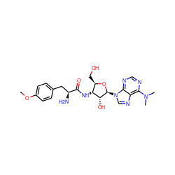 COc1ccc(C[C@H](N)C(=O)N[C@@H]2[C@@H](CO)O[C@@H](n3cnc4c(N(C)C)ncnc43)[C@@H]2O)cc1 ZINC000053147179