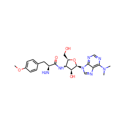 COc1ccc(C[C@H](N)C(=O)N[C@H]2[C@@H](CO)O[C@@H](n3cnc4c(N(C)C)ncnc43)[C@H]2O)cc1 ZINC000064511802