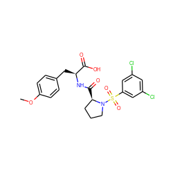 COc1ccc(C[C@H](NC(=O)[C@@H]2CCCN2S(=O)(=O)c2cc(Cl)cc(Cl)c2)C(=O)O)cc1 ZINC000013436450