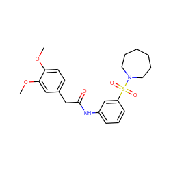 COc1ccc(CC(=O)Nc2cccc(S(=O)(=O)N3CCCCCC3)c2)cc1OC ZINC000008693831