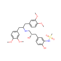 COc1ccc(CC(Cc2ccc(OC)c(OC)c2)NC[C@@H](O)Cc2ccc(O)c(NS(C)(=O)=O)c2)cc1OC ZINC000028958122