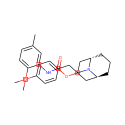 COc1ccc(CCN2[C@H]3CCC[C@H]2CC(OC(=O)Nc2cc(C)ccc2OC)C3)cc1 ZINC000101191120