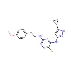 COc1ccc(CCNc2ncc(Br)c(Nc3cc(C4CC4)[nH]n3)n2)cc1 ZINC000203003311