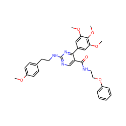 COc1ccc(CCNc2ncc(C(=O)NCCOc3ccccc3)c(-c3cc(OC)c(OC)c(OC)c3)n2)cc1 ZINC000042889626