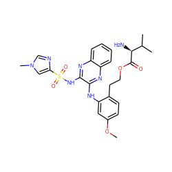 COc1ccc(CCOC(=O)[C@@H](N)C(C)C)c(Nc2nc3ccccc3nc2NS(=O)(=O)c2cn(C)cn2)c1 ZINC000169699237