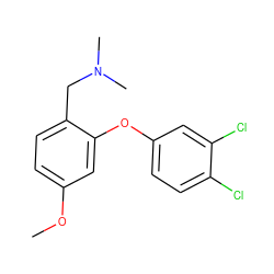 COc1ccc(CN(C)C)c(Oc2ccc(Cl)c(Cl)c2)c1 ZINC000038441544