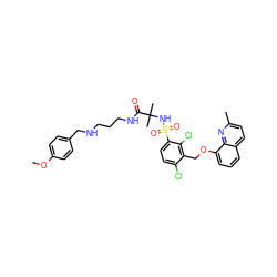 COc1ccc(CNCCCNC(=O)C(C)(C)NS(=O)(=O)c2ccc(Cl)c(COc3cccc4ccc(C)nc34)c2Cl)cc1 ZINC000049938275