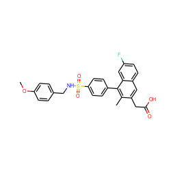 COc1ccc(CNS(=O)(=O)c2ccc(-c3c(C)c(CC(=O)O)cc4ccc(F)cc34)cc2)cc1 ZINC000205729187