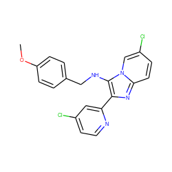 COc1ccc(CNc2c(-c3cc(Cl)ccn3)nc3ccc(Cl)cn23)cc1 ZINC001772653919