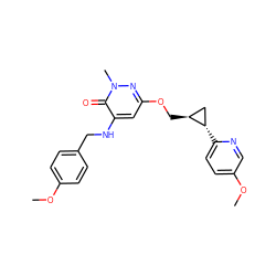 COc1ccc(CNc2cc(OC[C@H]3C[C@@H]3c3ccc(OC)cn3)nn(C)c2=O)cc1 ZINC000221926031