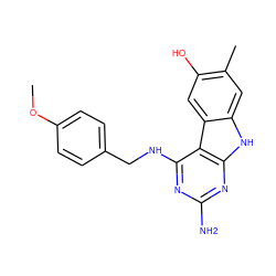 COc1ccc(CNc2nc(N)nc3[nH]c4cc(C)c(O)cc4c23)cc1 ZINC001772583985