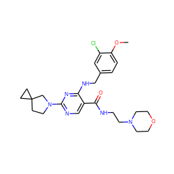 COc1ccc(CNc2nc(N3CCC4(CC4)C3)ncc2C(=O)NCCN2CCOCC2)cc1Cl ZINC000211301257