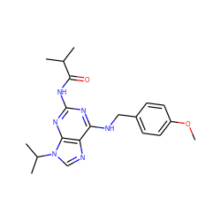 COc1ccc(CNc2nc(NC(=O)C(C)C)nc3c2ncn3C(C)C)cc1 ZINC000028641419