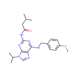 COc1ccc(CNc2nc(NC(=O)CC(C)C)nc3c2ncn3C(C)C)cc1 ZINC000028641247