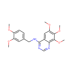 COc1ccc(CNc2ncnc3c(OC)c(OC)c(OC)cc23)cc1OC ZINC000013834088