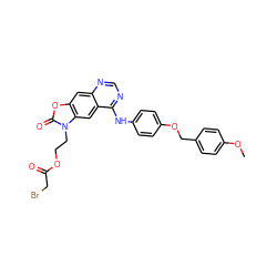 COc1ccc(COc2ccc(Nc3ncnc4cc5oc(=O)n(CCOC(=O)CBr)c5cc34)cc2)cc1 ZINC001772650040