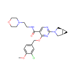 COc1ccc(COc2nc(N3C[C@H]4C[C@H]4C3)ncc2C(=O)NCCN2CCOCC2)cc1Cl ZINC000144869064