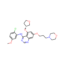 COc1ccc(Cl)c(Nc2ncnc3cc(OCCCN4CCOCC4)cc(O[C@@H]4CCOC4)c23)c1 ZINC000013919351