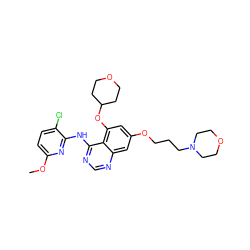 COc1ccc(Cl)c(Nc2ncnc3cc(OCCCN4CCOCC4)cc(OC4CCOCC4)c23)n1 ZINC000028530256