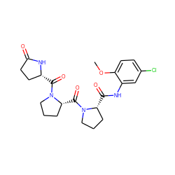 COc1ccc(Cl)cc1NC(=O)[C@@H]1CCCN1C(=O)[C@@H]1CCCN1C(=O)[C@@H]1CCC(=O)N1 ZINC001772606103