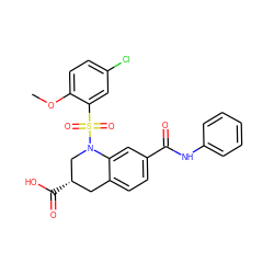 COc1ccc(Cl)cc1S(=O)(=O)N1C[C@@H](C(=O)O)Cc2ccc(C(=O)Nc3ccccc3)cc21 ZINC000299858421