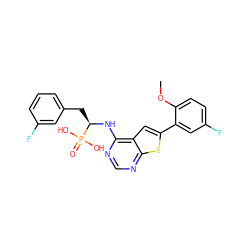 COc1ccc(F)cc1-c1cc2c(N[C@H](Cc3cccc(F)c3)P(=O)(O)O)ncnc2s1 ZINC001772633406