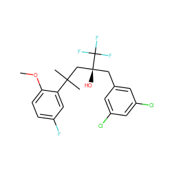 COc1ccc(F)cc1C(C)(C)C[C@@](O)(Cc1cc(Cl)cc(Cl)c1)C(F)(F)F ZINC000028862486